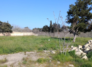 Satılır 5 otaqlı 12 m2 bağ evi Nardaran