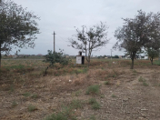 Satılır 58 sot torpaq Cəlilabad