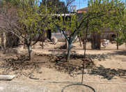 Satılır 4 otaqlı 3000 m2 həyət evi Maştağa