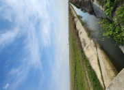 Satılır 1428 sot torpaq Kürdəmir