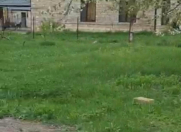 Satılır 42.5 sot torpaq Quba