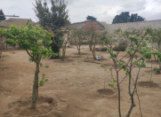 Satılır 4 sot torpaq Şüvəlan