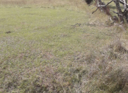 Satılır 22 sot torpaq Qusar