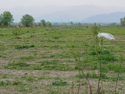 Satılır 2.74 sot torpaq Qax