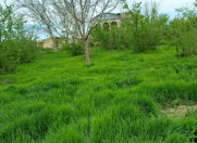 Satılır 10 otaqlı 300 m2 həyət evi Xaçmaz