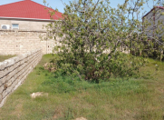 Satılır 2 sot torpaq Buzovna