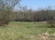 Satılır 6 sot torpaq Zaqatala