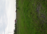 Satılır 87 sot torpaq Qəbələ