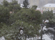 Satılır 1 otaqlı 20 m2 köhnə tikili Qara Qarayev m.