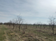 Satılır 420 sot torpaq Göyçay