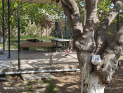 Satılır 2 otaqlı 60 m2 həyət evi Mərdəkan