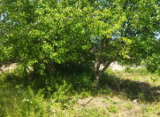 Satılır 13 sot torpaq Landmark