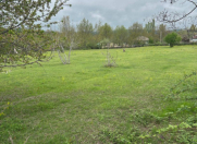 Satılır 10 sot torpaq Qəbələ