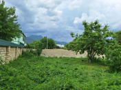 Satılır 4 sot torpaq Qəbələ