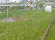 Satılır 9 sot torpaq Buzovna