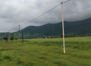 Satılır 250 sot torpaq Qəbələ