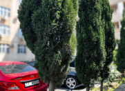 Satılır 3 otaqlı 110 m2 yeni tikili Neftçilər m.