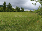 Satılır 50 sot torpaq Qusar