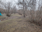 Satılır 70 sot torpaq Qəbələ