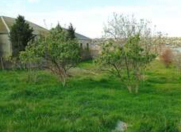 Satılır 6 sot torpaq Quba