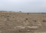 Satılır 6 sot torpaq Şirvan