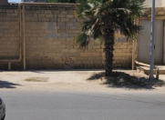 Satılır 2.4 sot torpaq Badamdar