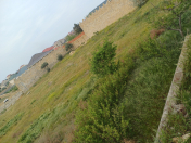 Satılır 40 sot torpaq Görədil