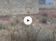 Satılır 12 sot torpaq Sumqayıt