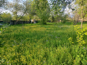 Satılır 10 sot torpaq Qəbələ