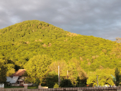 Satılır 15 sot torpaq Qəbələ