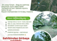 Satılır 35 sot torpaq Qəbələ