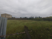 Satılır 24 sot torpaq Albalı