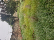 Satılır 6 sot torpaq Badamdar