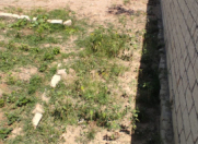 Satılır 2 otaqlı 70 m2 həyət evi Ceyranbatan