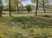 Satılır 13 sot torpaq Qəbələ