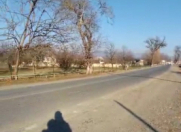 Satılır 112 sot torpaq Qəbələ