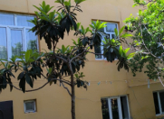 Satılır 7 otaqlı 250 m2 həyət evi Masazır