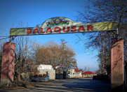 Satılır 6 sot torpaq Qusar