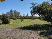 Satılır 70 sot torpaq Qəbələ