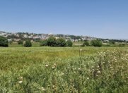 Satılır 226 sot torpaq Şamaxı