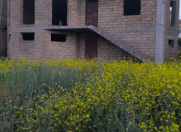 Satılır 6 sot torpaq Masazır