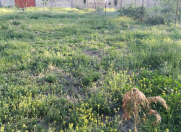 Satılır 5 sot torpaq Mingəçevir