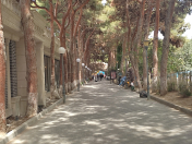 İcarəyə verilir 1 otaqlı 15 m2 obyekt Xırdalan