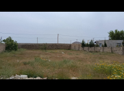 Satılır 11 sot torpaq AMAY