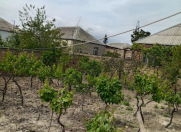 Satılır 3 sot torpaq Biləcəri