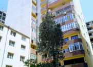 Satılır 2 otaqlı 85 m2 yeni tikili Yasamal r.