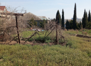 Satılır 16 sot torpaq Qaraçuxur