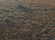 Satılır 2 sot torpaq Türkan