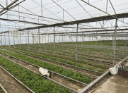 Satılır 12 otaqlı 22000 m2 obyekt Zirə