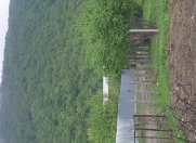 Satılır 9.27 sot torpaq Qax